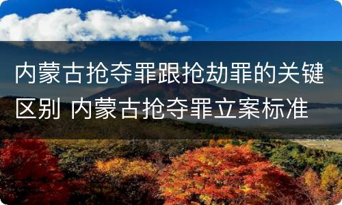 内蒙古抢夺罪跟抢劫罪的关键区别 内蒙古抢夺罪立案标准