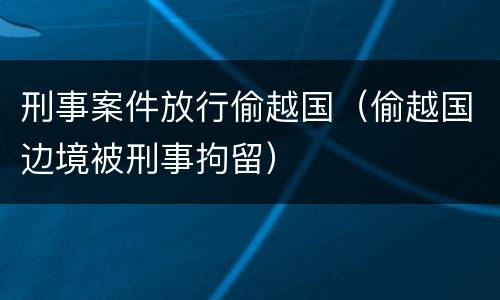 刑事案件放行偷越国（偷越国边境被刑事拘留）