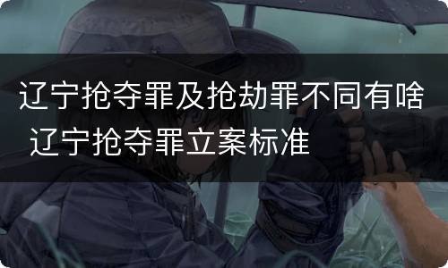 辽宁抢夺罪及抢劫罪不同有啥 辽宁抢夺罪立案标准