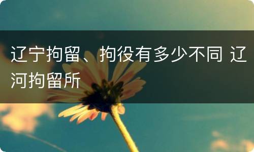 辽宁拘留、拘役有多少不同 辽河拘留所