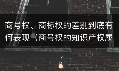 商号权、商标权的差别到底有何表现（商号权的知识产权属性）