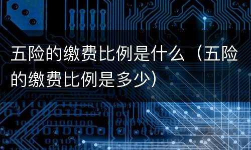 五险的缴费比例是什么（五险的缴费比例是多少）