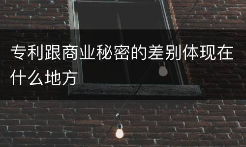专利跟商业秘密的差别体现在什么地方