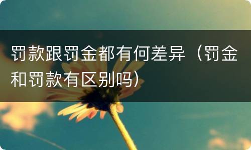 罚款跟罚金都有何差异(罚金和罚款有区别吗)