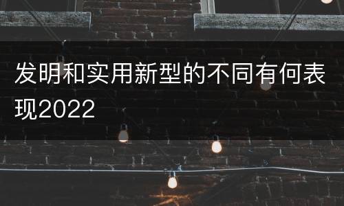 发明和实用新型的不同有何表现2022