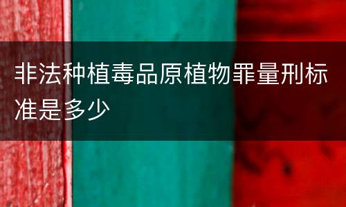 非法种植毒品原植物罪量刑标准是多少