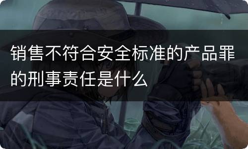 销售不符合安全标准的产品罪的刑事责任是什么