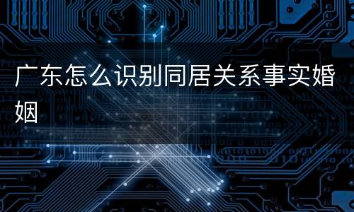 广东怎么识别同居关系事实婚姻