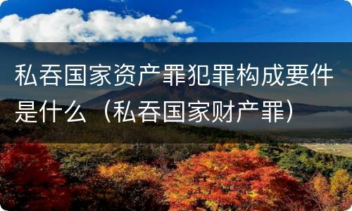 私吞国家资产罪犯罪构成要件是什么（私吞国家财产罪）
