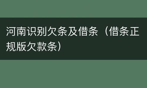 河南识别欠条及借条（借条正规版欠款条）