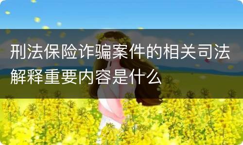 刑法保险诈骗案件的相关司法解释重要内容是什么