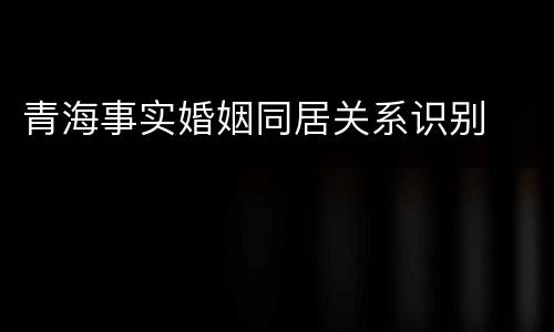 青海事实婚姻同居关系识别