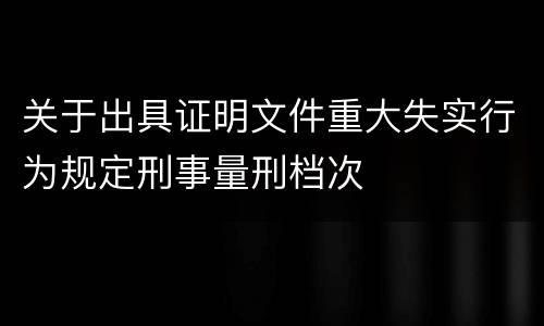 关于出具证明文件重大失实行为规定刑事量刑档次