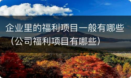 企业里的福利项目一般有哪些（公司福利项目有哪些）