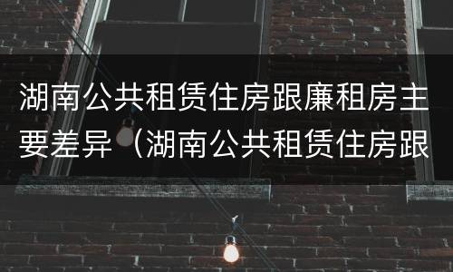 湖南公共租赁住房跟廉租房主要差异（湖南公共租赁住房跟廉租房主要差异在哪）