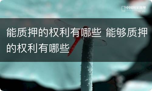 能质押的权利有哪些 能够质押的权利有哪些