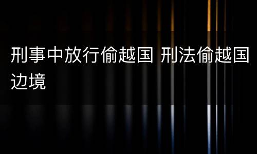 刑事中放行偷越国 刑法偷越国边境