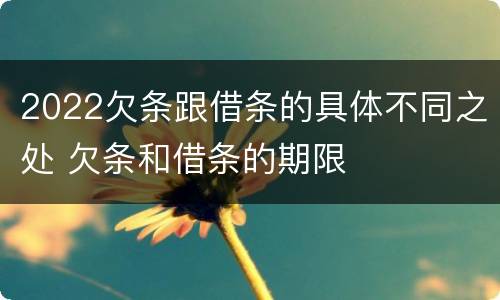 2022欠条跟借条的具体不同之处 欠条和借条的期限