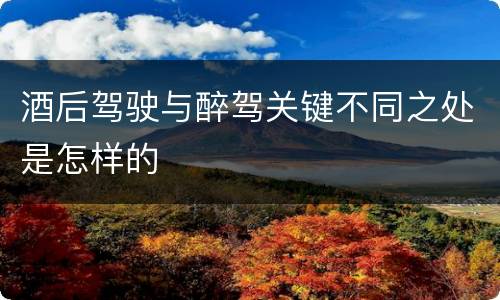 酒后驾驶与醉驾关键不同之处是怎样的