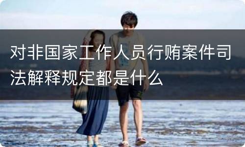 对非国家工作人员行贿案件司法解释规定都是什么