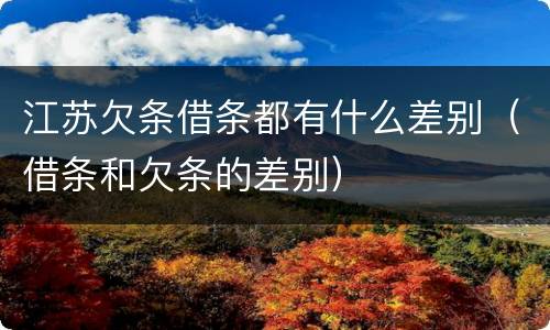 江苏欠条借条都有什么差别（借条和欠条的差别）