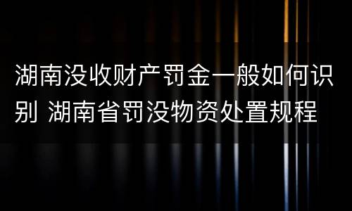 湖南没收财产罚金一般如何识别 湖南省罚没物资处置规程