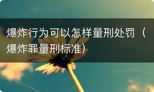 爆炸行为可以怎样量刑处罚（爆炸罪量刑标准）