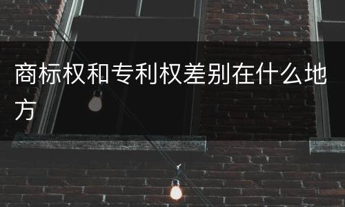 商标权和专利权差别在什么地方