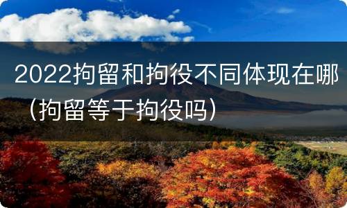 2022拘留和拘役不同体现在哪（拘留等于拘役吗）