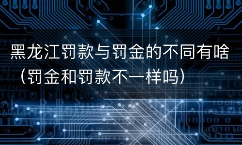 黑龙江罚款与罚金的不同有啥（罚金和罚款不一样吗）