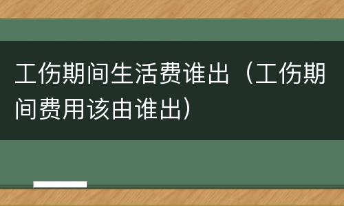 工伤期间生活费谁出（工伤期间费用该由谁出）