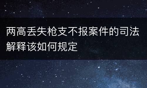 两高丢失枪支不报案件的司法解释该如何规定