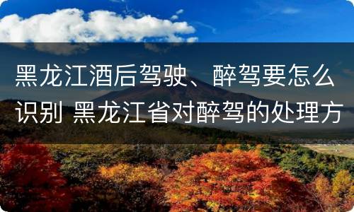 黑龙江酒后驾驶、醉驾要怎么识别 黑龙江省对醉驾的处理方法