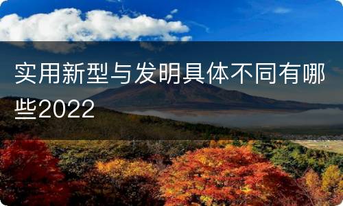 实用新型与发明具体不同有哪些2022