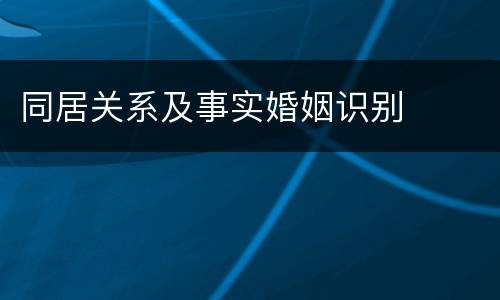 同居关系及事实婚姻识别