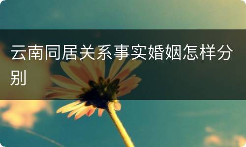 云南同居关系事实婚姻怎样分别