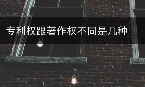 专利权跟著作权不同是几种