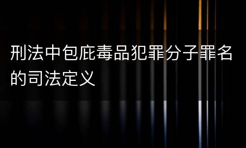 刑法中包庇毒品犯罪分子罪名的司法定义