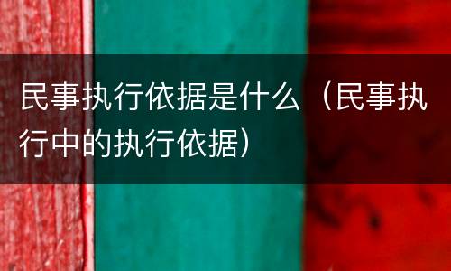 民事执行依据是什么（民事执行中的执行依据）