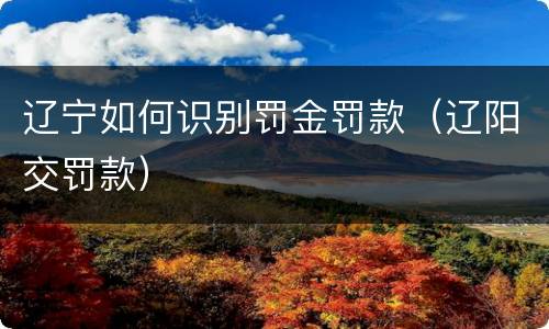 辽宁如何识别罚金罚款（辽阳交罚款）