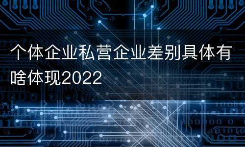 个体企业私营企业差别具体有啥体现2022