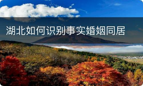 湖北如何识别事实婚姻同居