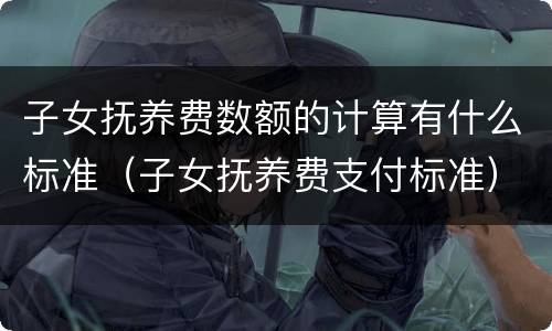 子女抚养费数额的计算有什么标准（子女抚养费支付标准）