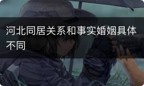 河北同居关系和事实婚姻具体不同