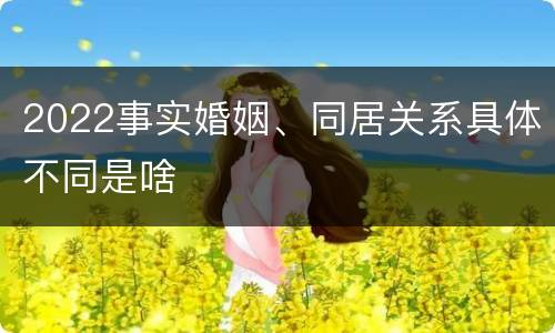 2022事实婚姻、同居关系具体不同是啥