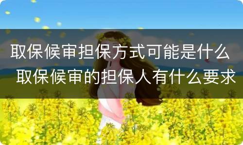 取保候审担保方式可能是什么 取保候审的担保人有什么要求