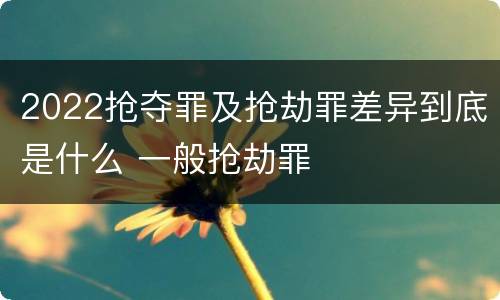 2022抢夺罪及抢劫罪差异到底是什么 一般抢劫罪