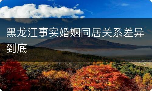 黑龙江事实婚姻同居关系差异到底