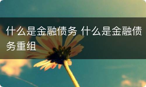 什么是金融债务 什么是金融债务重组