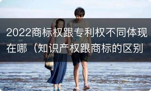2022商标权跟专利权不同体现在哪（知识产权跟商标的区别）